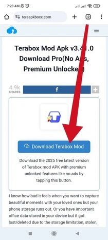 button for terabox pro version download page